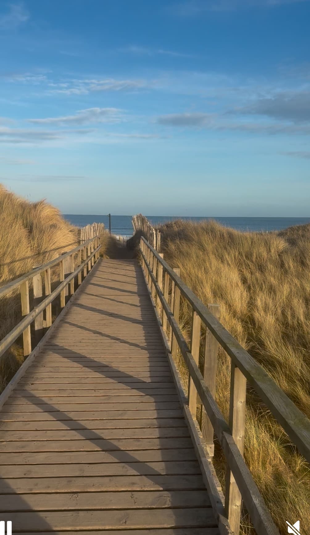 Beachfront Sauna Escape with Wild Scottish Sauna in St Andrews