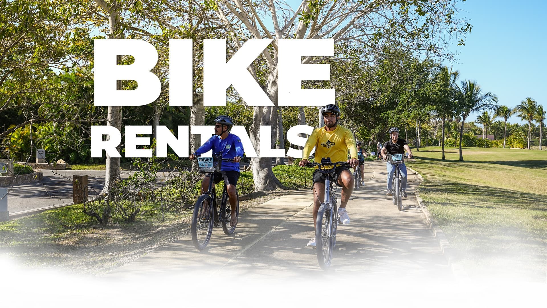 Three-Week Bike Rentals at Punta Mita Ocean Sports