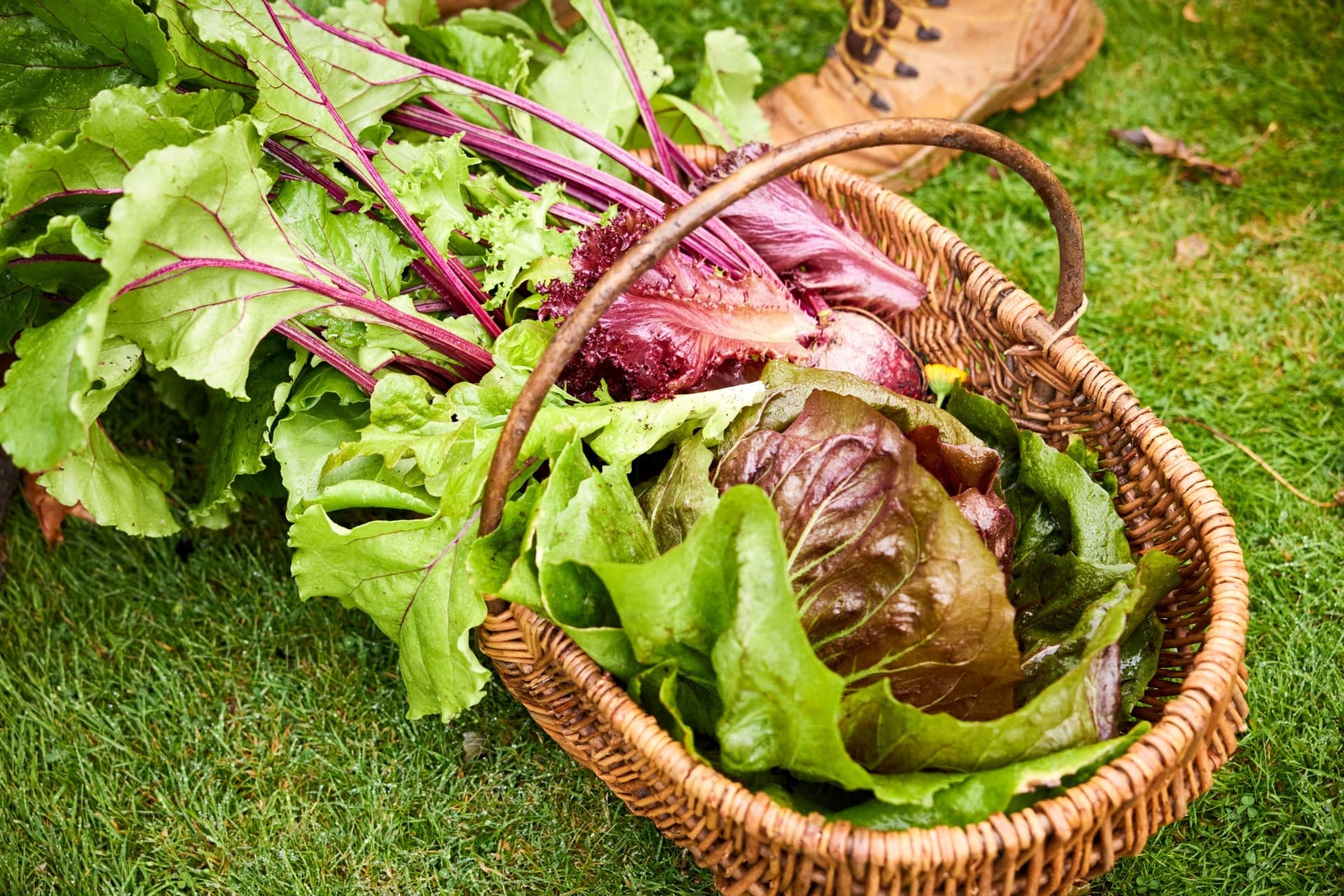 Three-Day Culinary Retreat at Spains Hall — Jamie Oliver’s Ultimate Cooking Experience photo 1