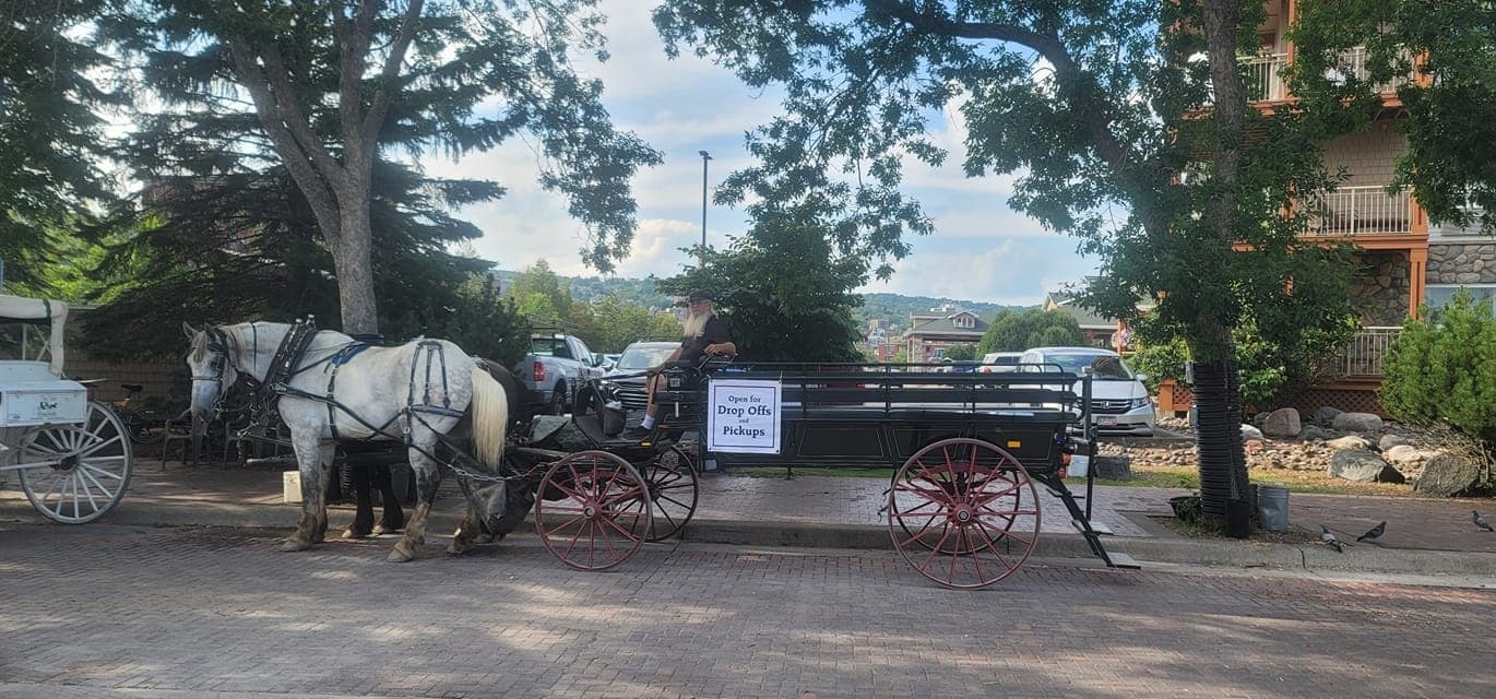 Horse-drawn carriage in tree-lined street at scenic town