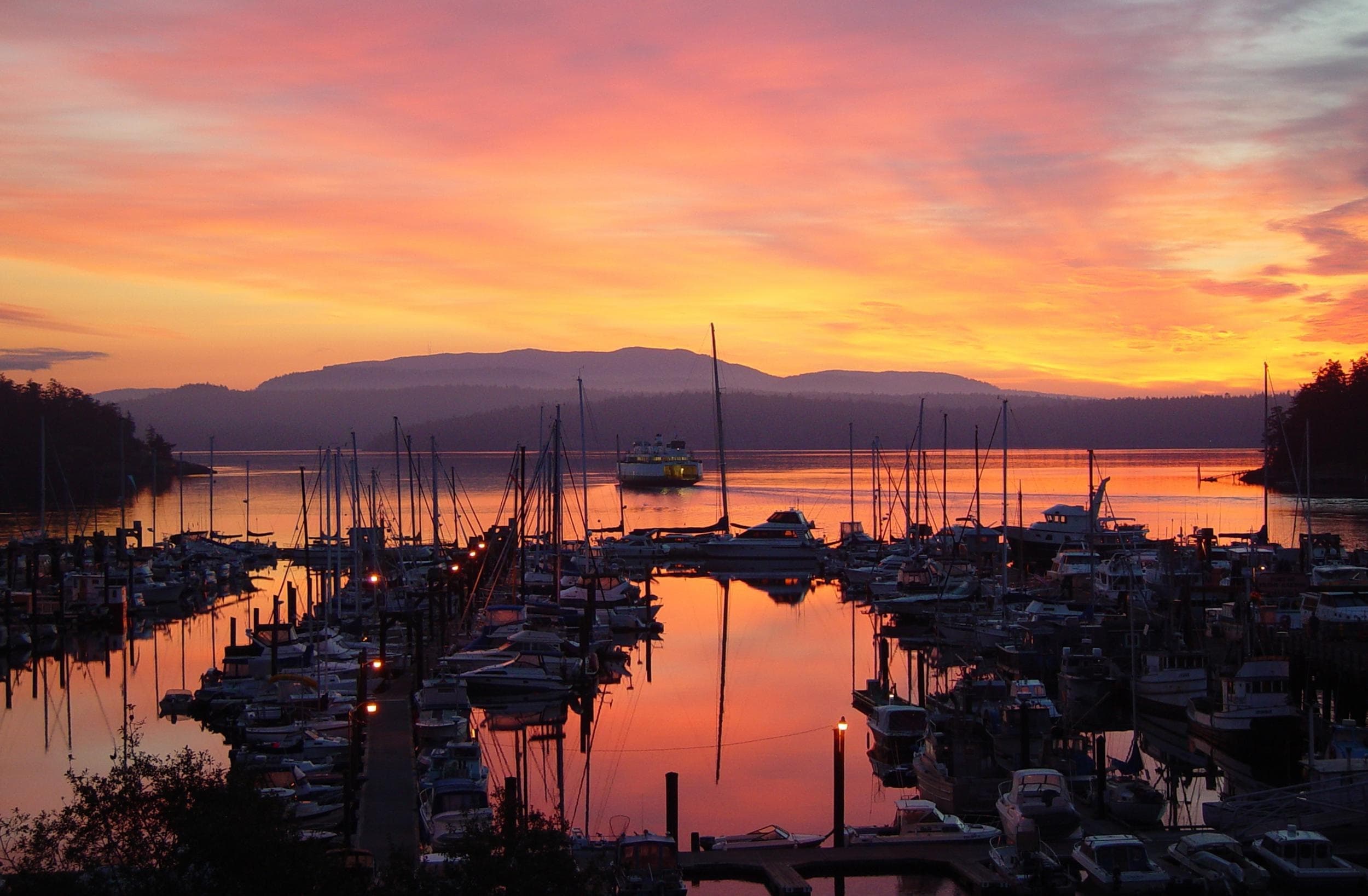 Sunset over marina with sailboats docked, calm harbor view