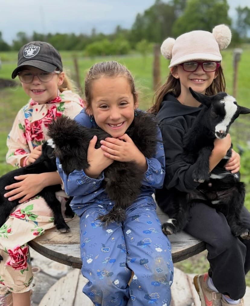 Goat Snuggles and Farm Therapy: Snuggle Days in Martintown