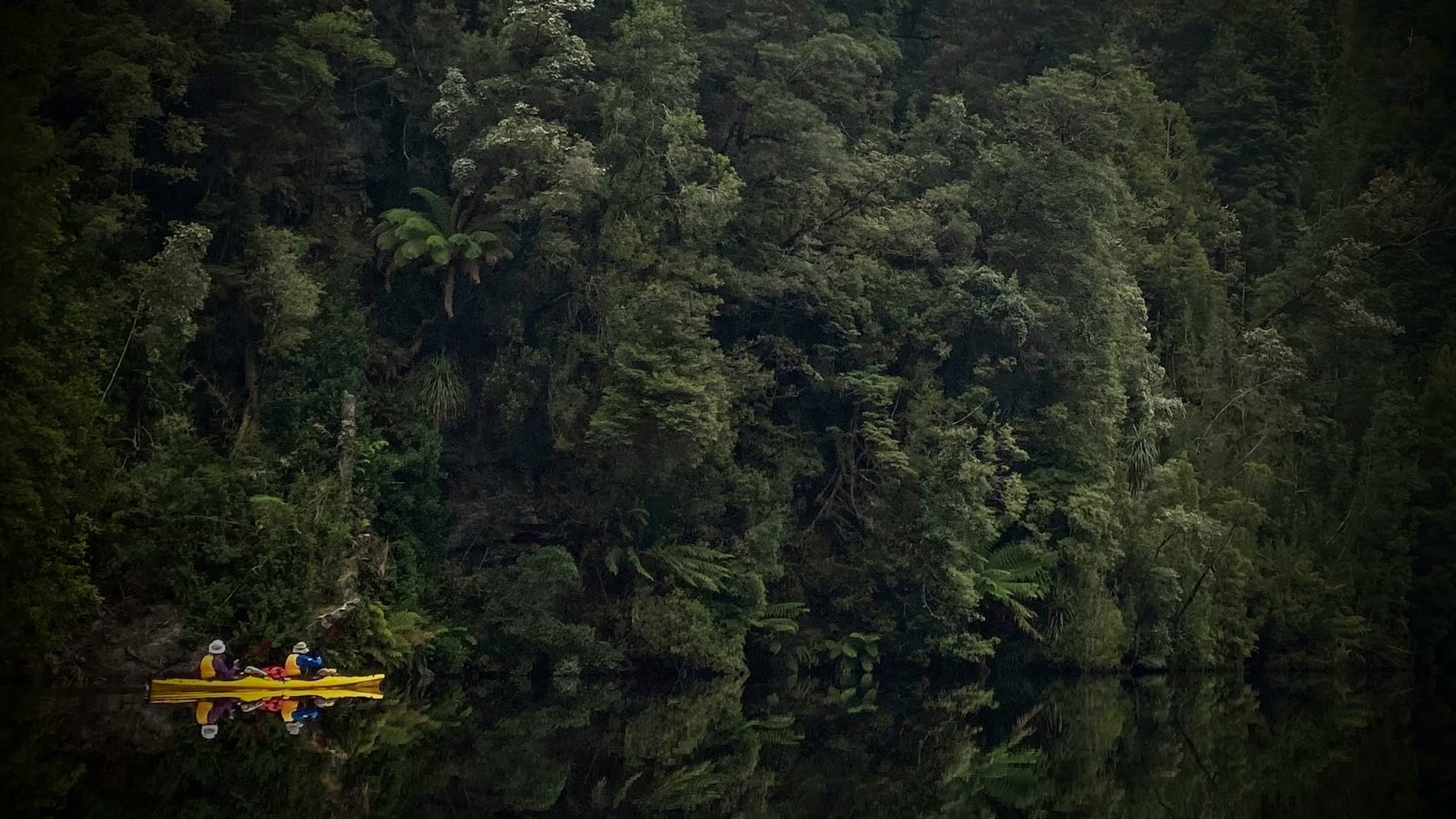 Kayaking Adventure in Tasmania’s Gordon River with Roaring 40's