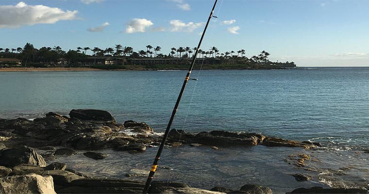 Shoreline Fishing Tour with 808 Fishing Tale in Lahaina