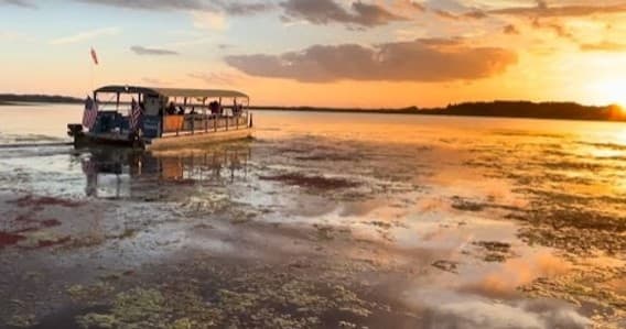 1.5 Hour Eco Tour | Eco Tour in Kissimmee, Florida photo 1