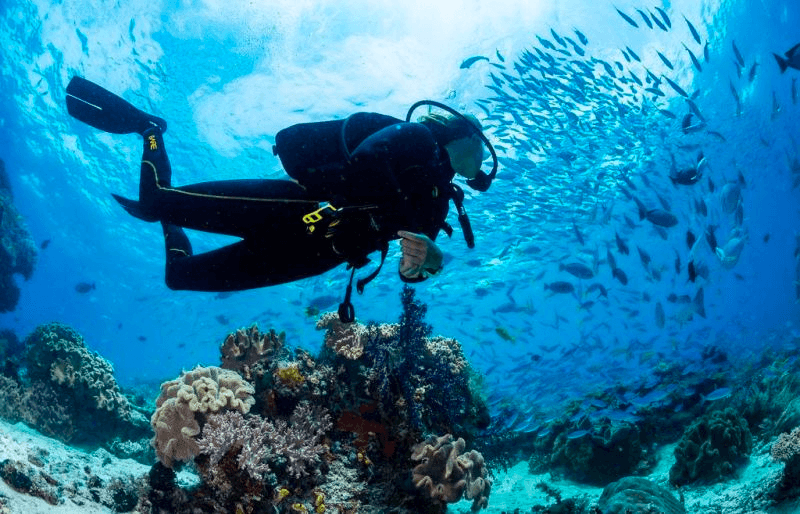 Go Diving Cancun team
