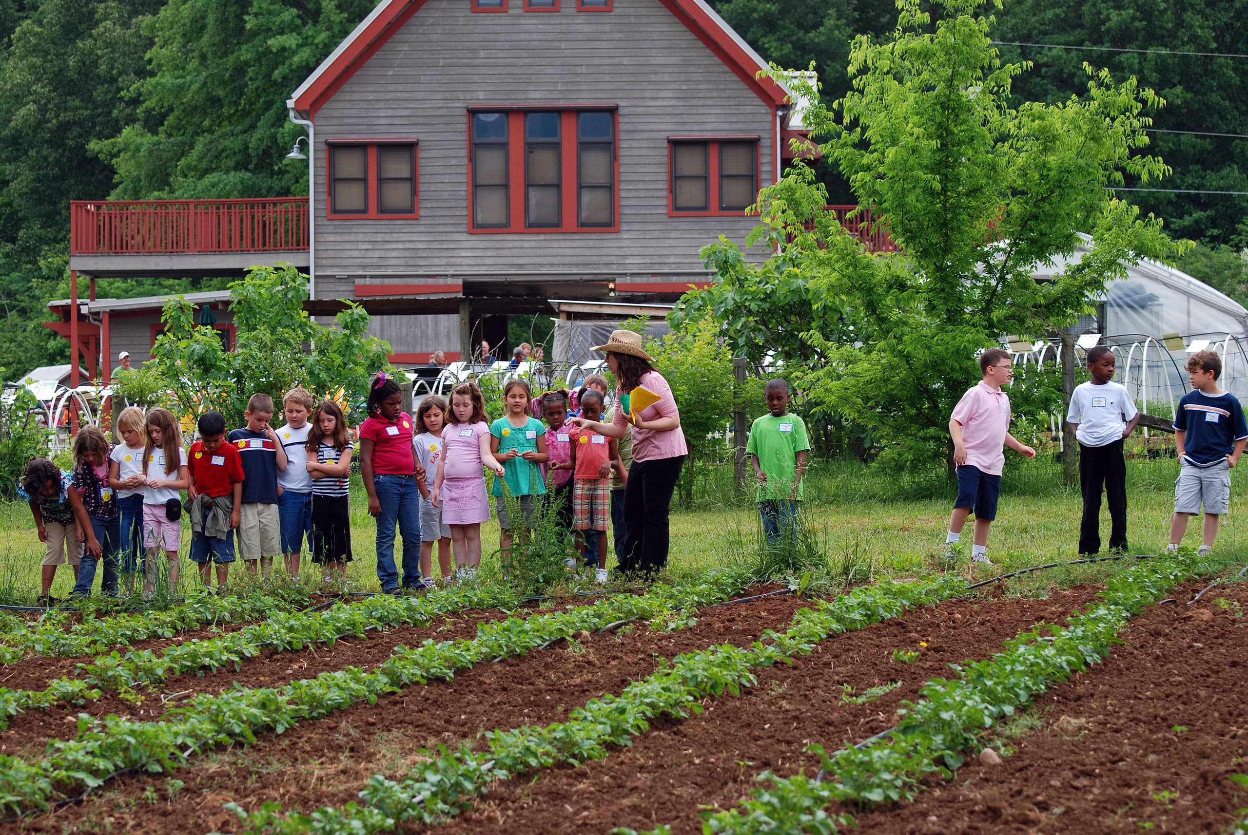 Hands-On Field Trips at Crabtree Farms: Chattanooga's Urban Farm Classroom photo 1