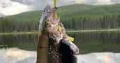 Lake Jumping & Fishing at Mountain Refuge Ranch