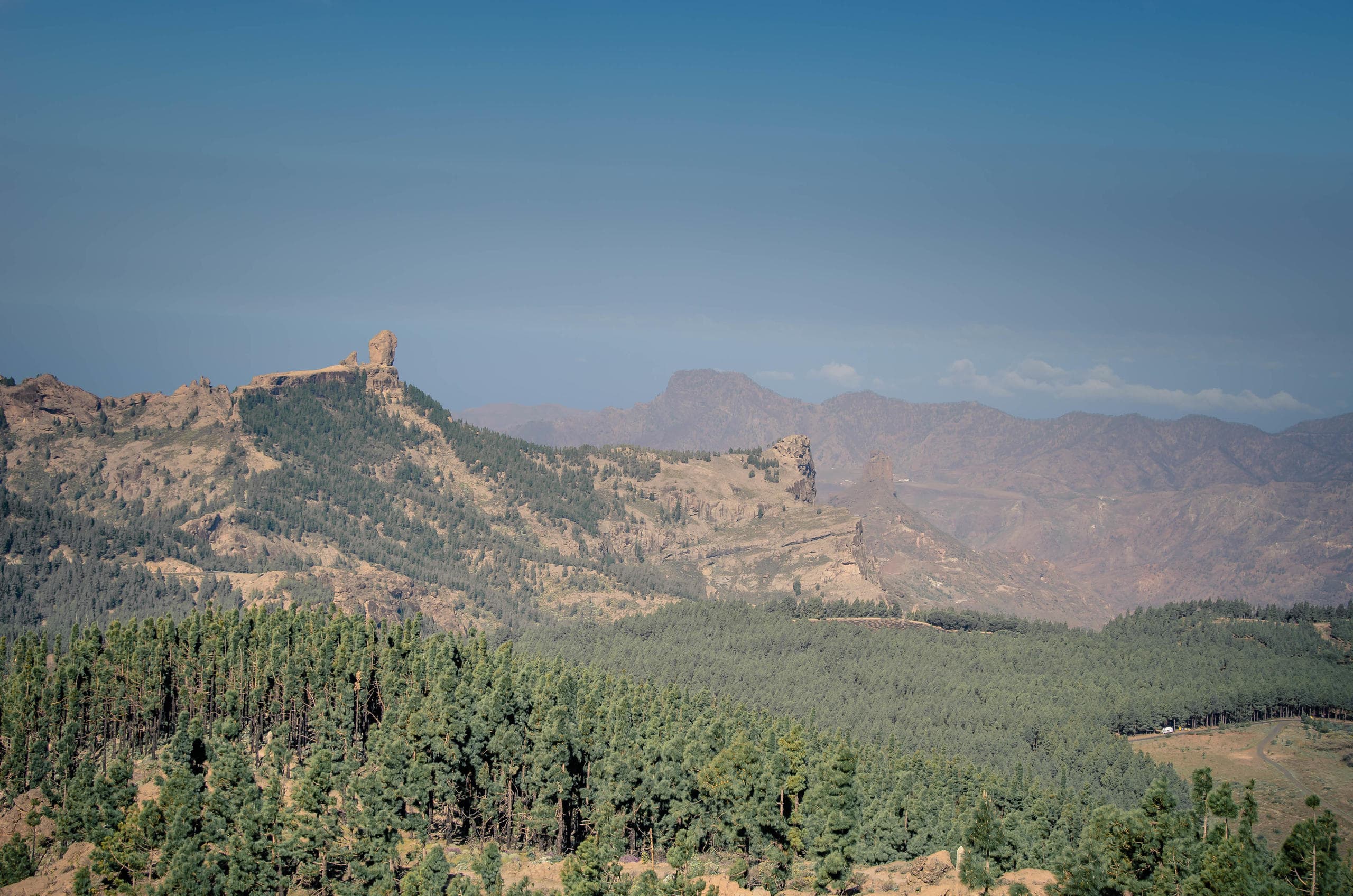 Panoramic mountain ridge and pine forest vista in Gran Canaria