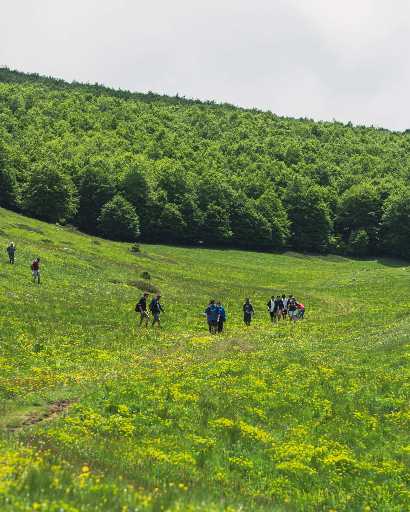 Il Voltigno delle meraviglie: Family-Friendly Hike to Lago Sfondo & Monte Camicia (Gran Sasso)