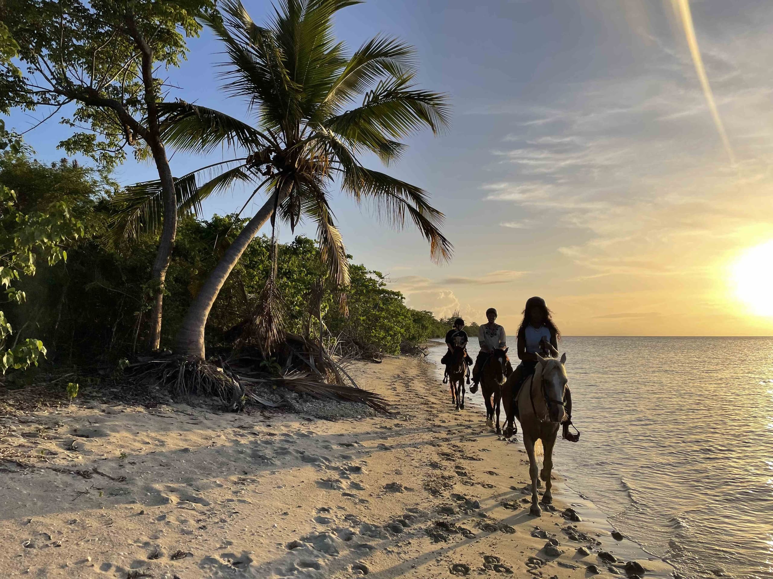 Group Beach Sunset Tour in Vieques, Puerto Rico