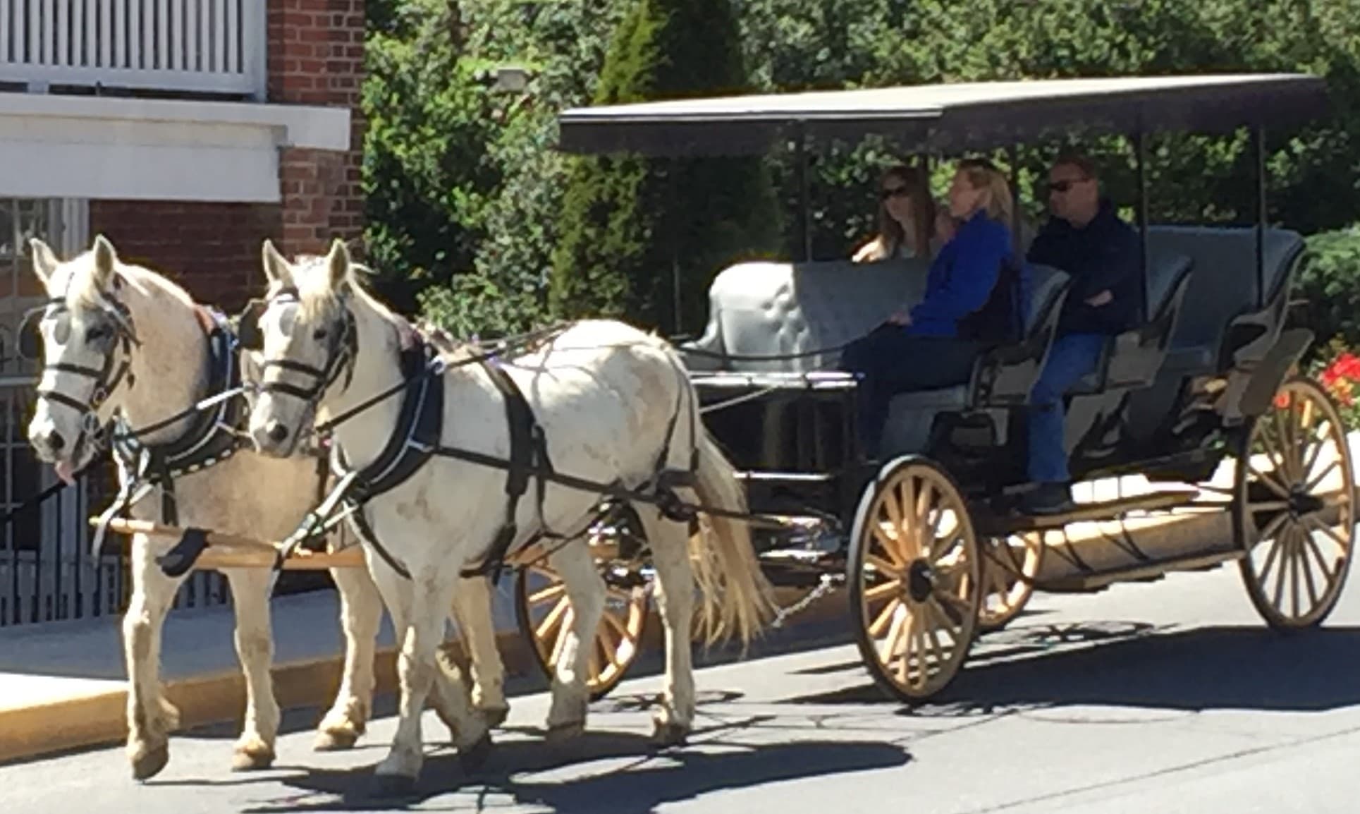 Lexington Carriage team