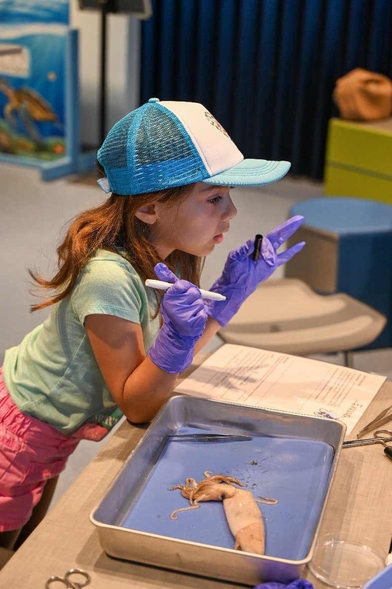 6-12 Outdoor Learning Adventures in Juno Beach, FL