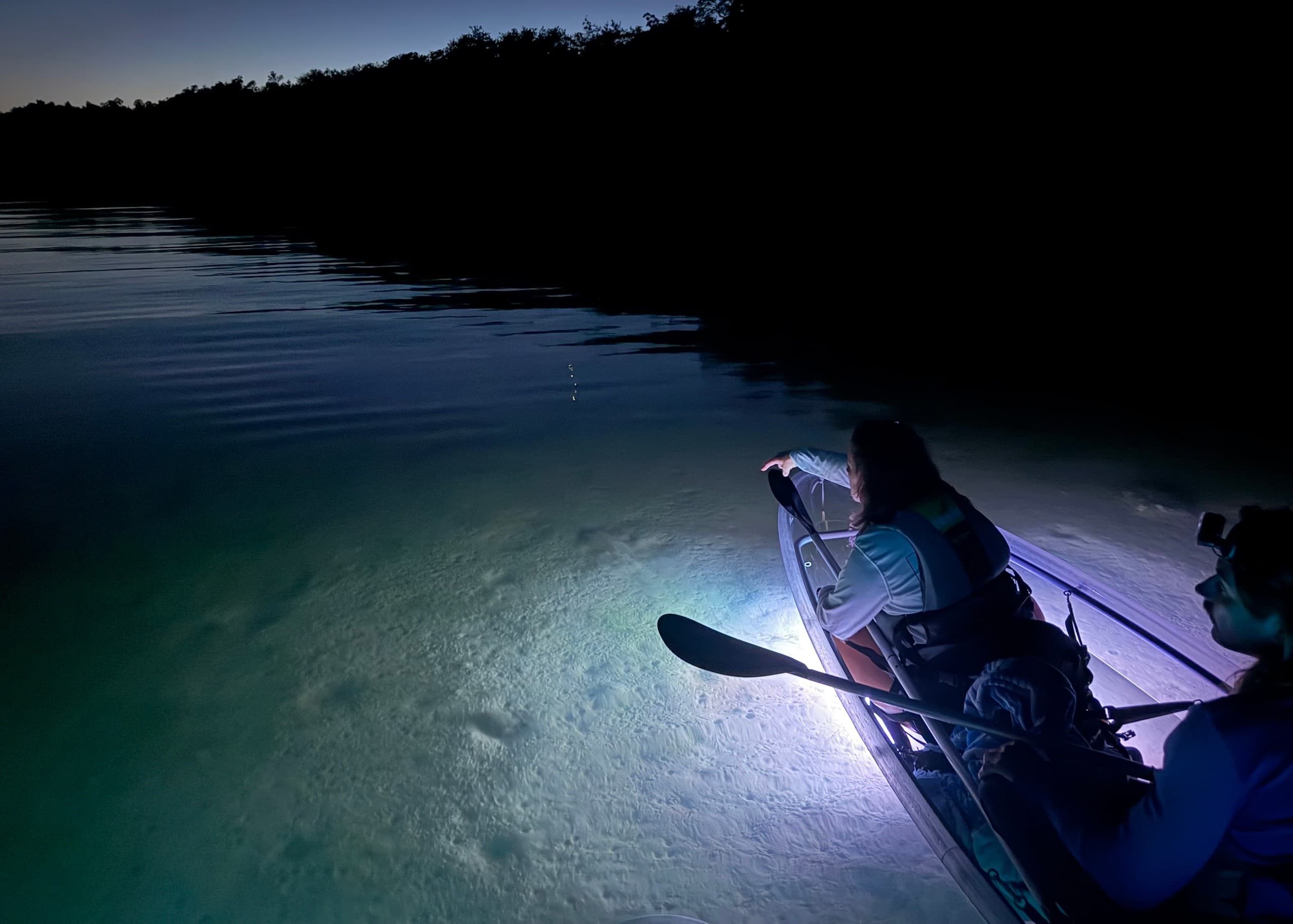 Clearwater Cooper's Bayou Glow: Clear Kayaks & Bioluminescence Night Tour photo 2