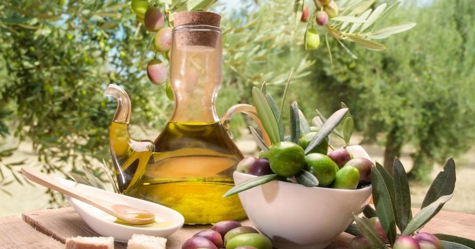 Olive Oil Farm Tour at Premium Olive Oil Farm in Évora