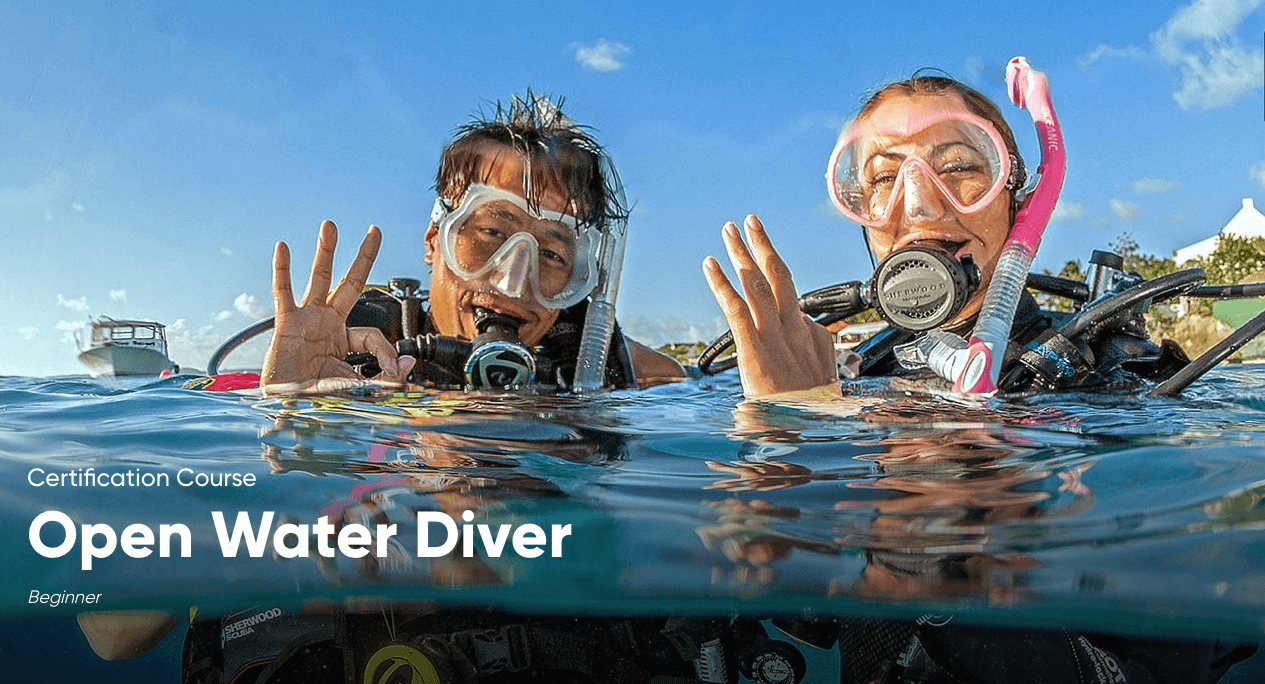 PADI Open Water Course in Honolulu, Hawaii