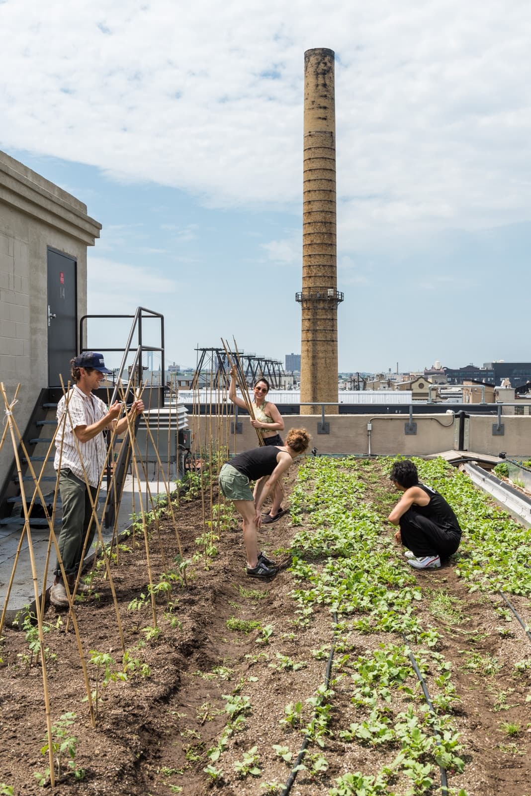 Hands-On Rooftop Farming Experience at Brooklyn Grange: Sustainable Urban Agriculture in NYC