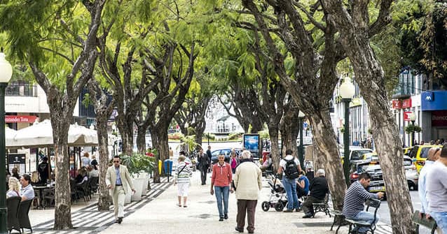 Tree-lined pedestrian promenade with locals strolling in Madeira