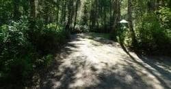Camping & Wilderness at Montana Creek Campground