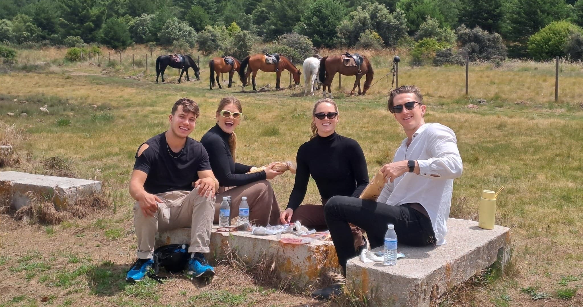 Horseback Riding & Picnic in Madrid Mountains with Madrid Horse Riding