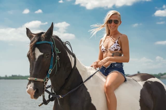 Beach Horseback Riding with Florida Beach Horses in Bradenton