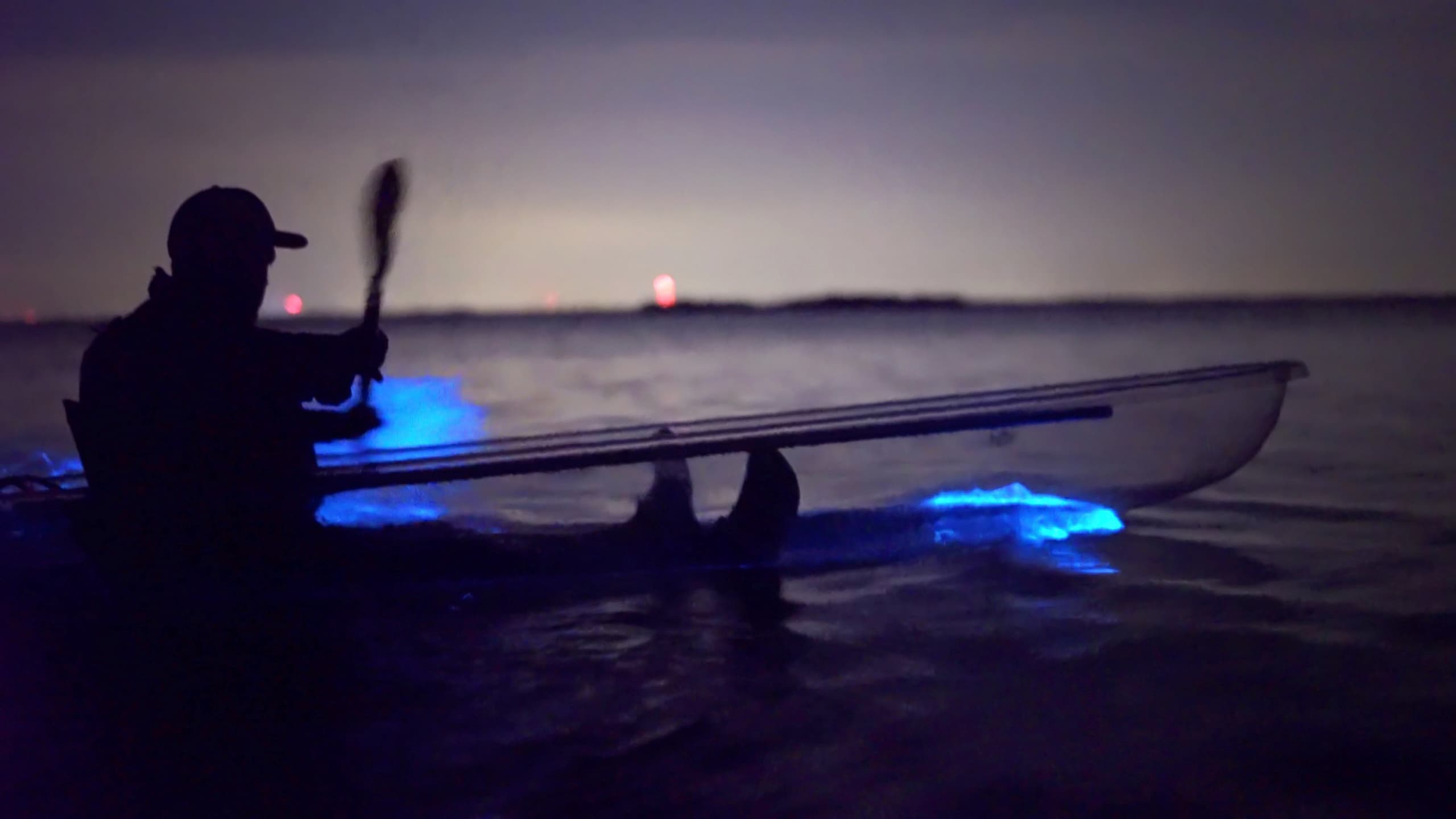 Florida-Adventurer's Glow Kayak Tour at Kiwanis Island