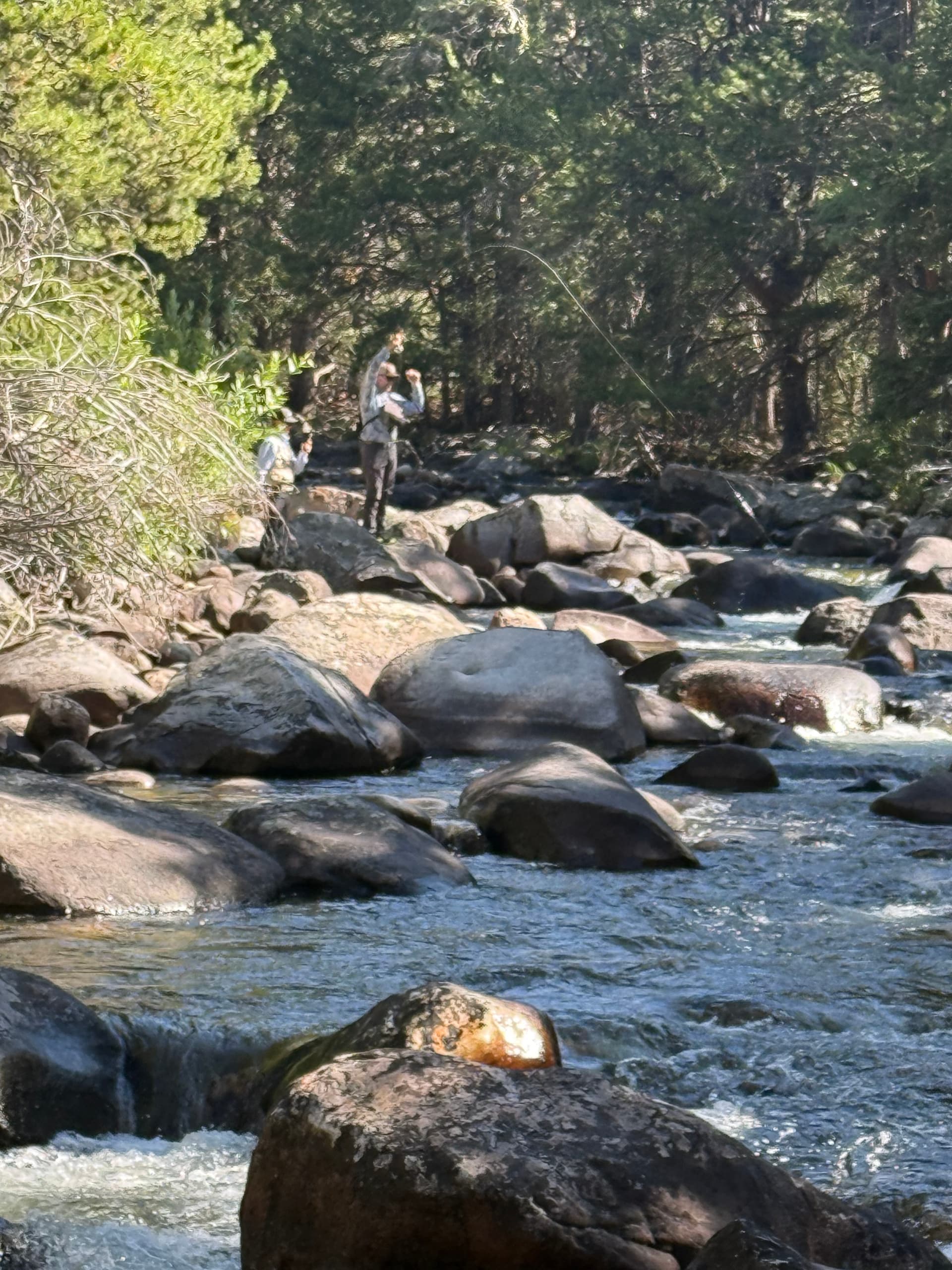 Bighorn Emersion — Backcountry Fly Fishing near Thermopolis WY photo 1