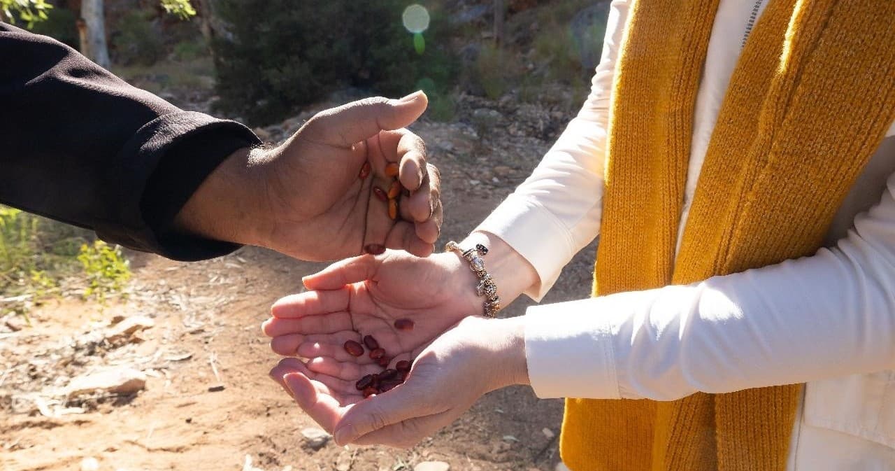 Standley Chasm Aboriginal Workshop: Weaponry & Bush Cooking Experience in the Northern Territory