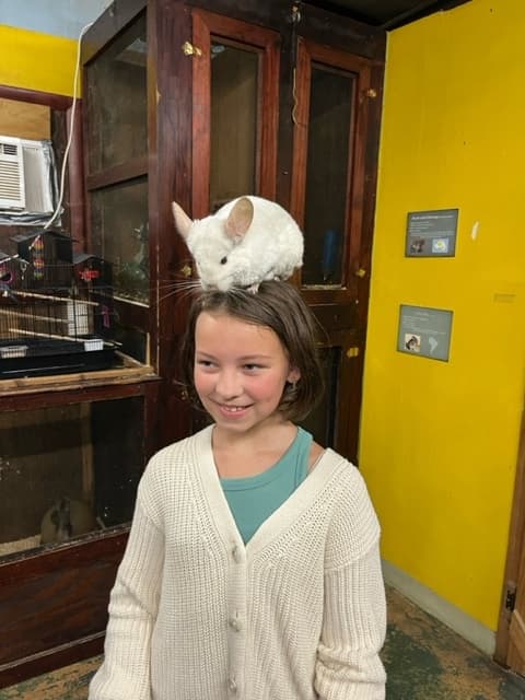 Wildlife Adventure & Birthday Celebration with Animal Adventures