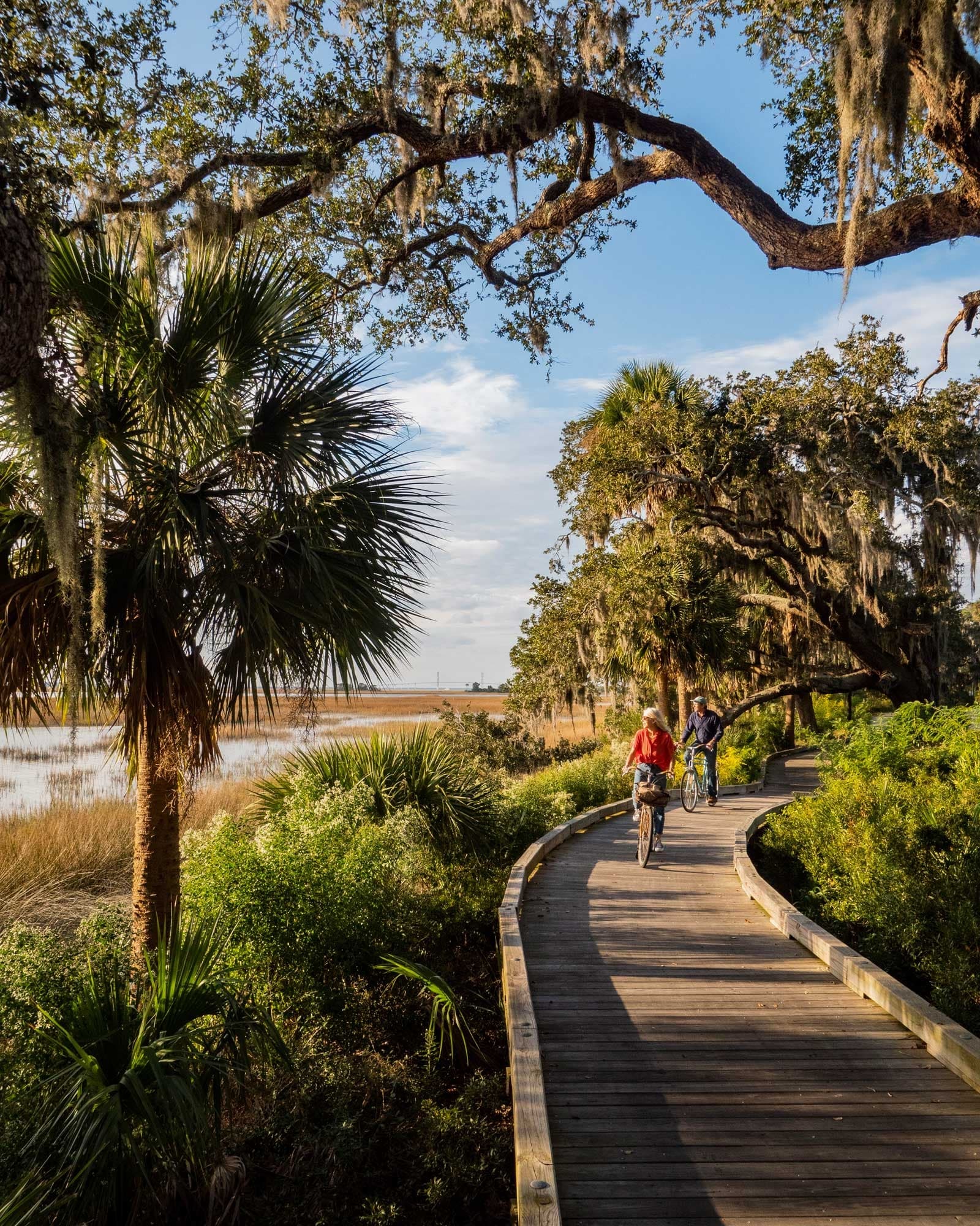 Hilton Head Cruiser Bike Rentals for Coastal Adventure