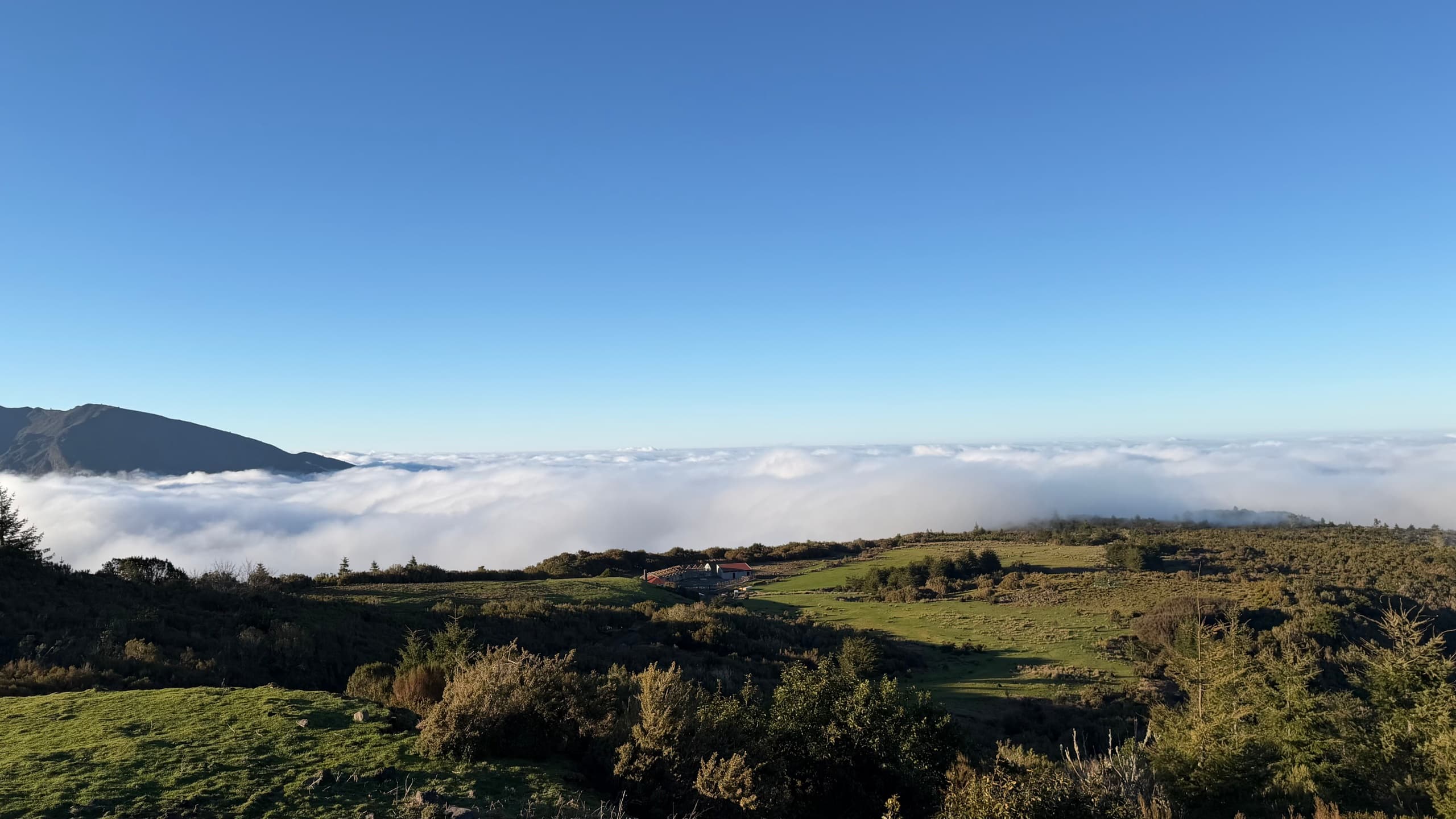 design-your-perfect-day-in-madeira-private-van-tours-from-santa-cruz photo 2
