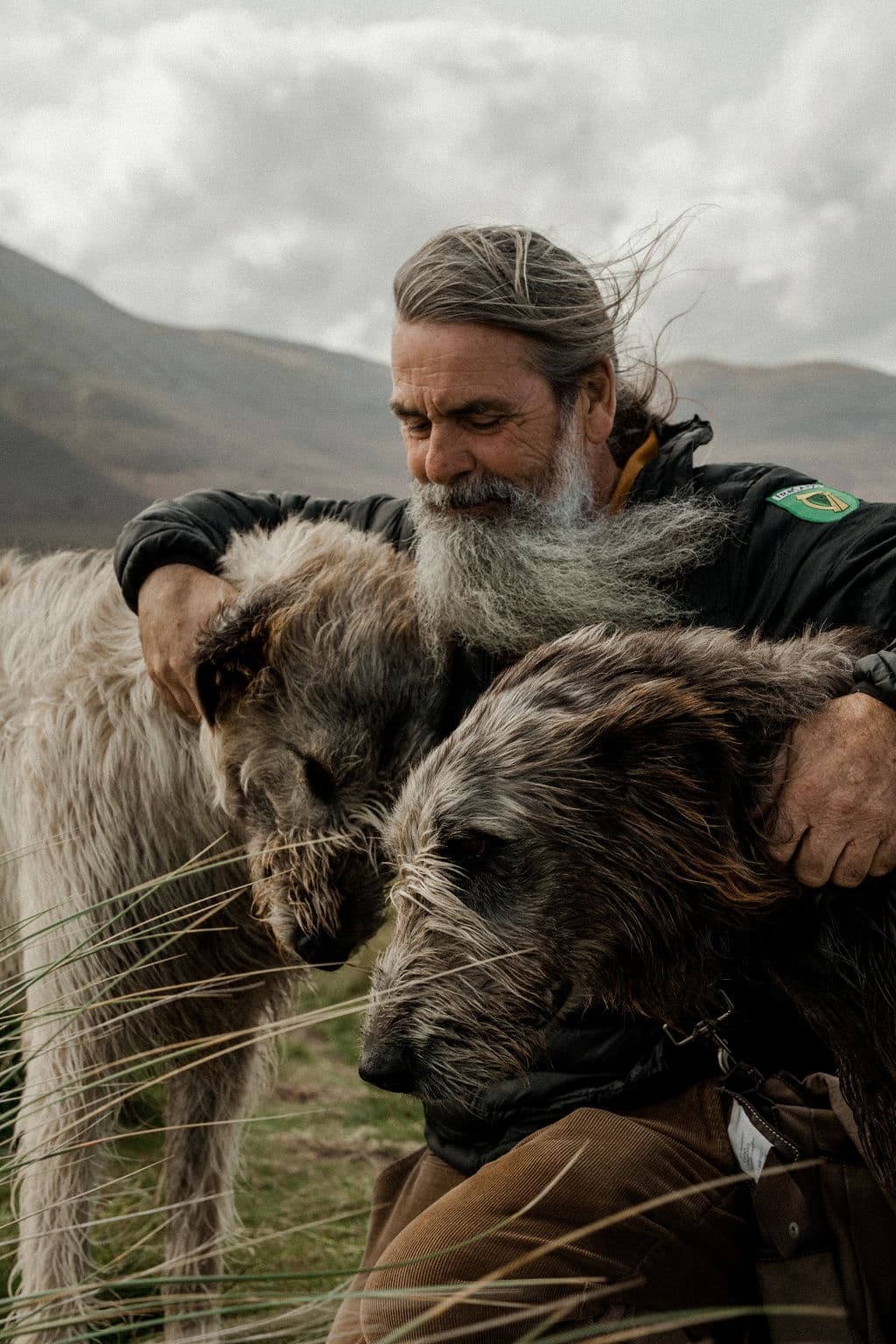 Irish Wolfhound Walks in Thornhill with Westport Wolfhounds
