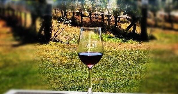 Wine Tasting & Vineyard Tour by Jade Marlborough Tours