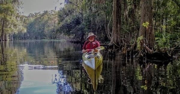 Private Wekiva River Kayak Tour: Manatees, Alligators and a Riverside Picnic Near Orlando
