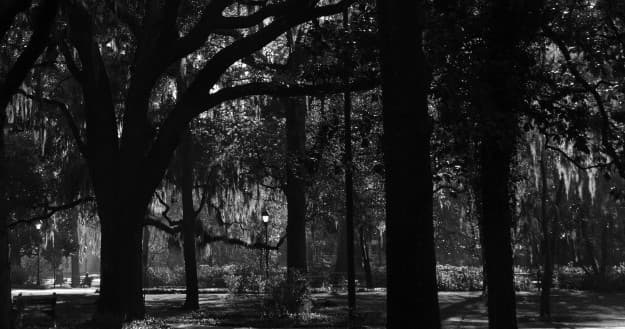 Explore Savannah’s Haunted Streets on the Only Horse-Drawn Ghost Tour