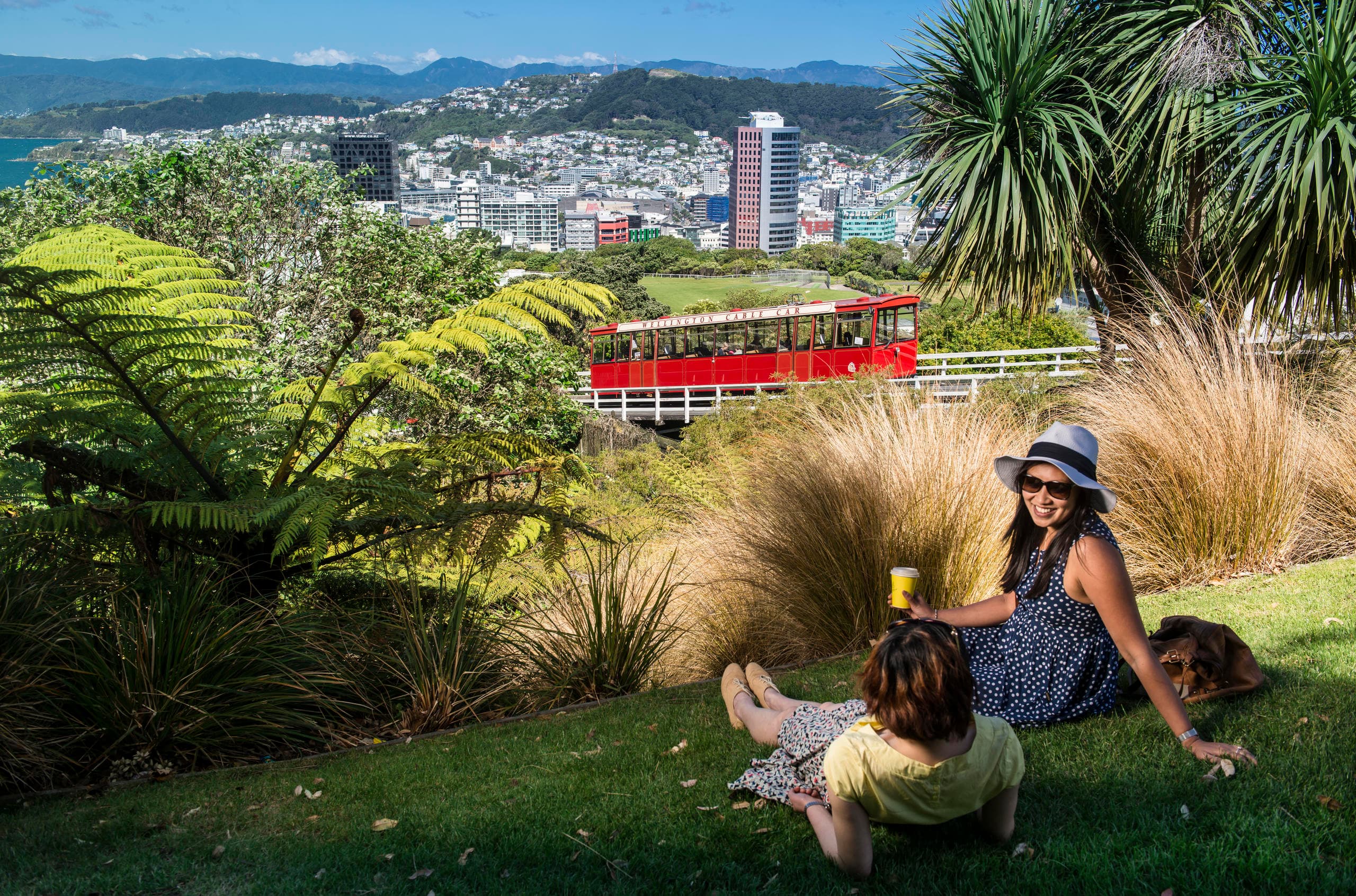 Wellington Highlights Tour by Zozo Travel Limited