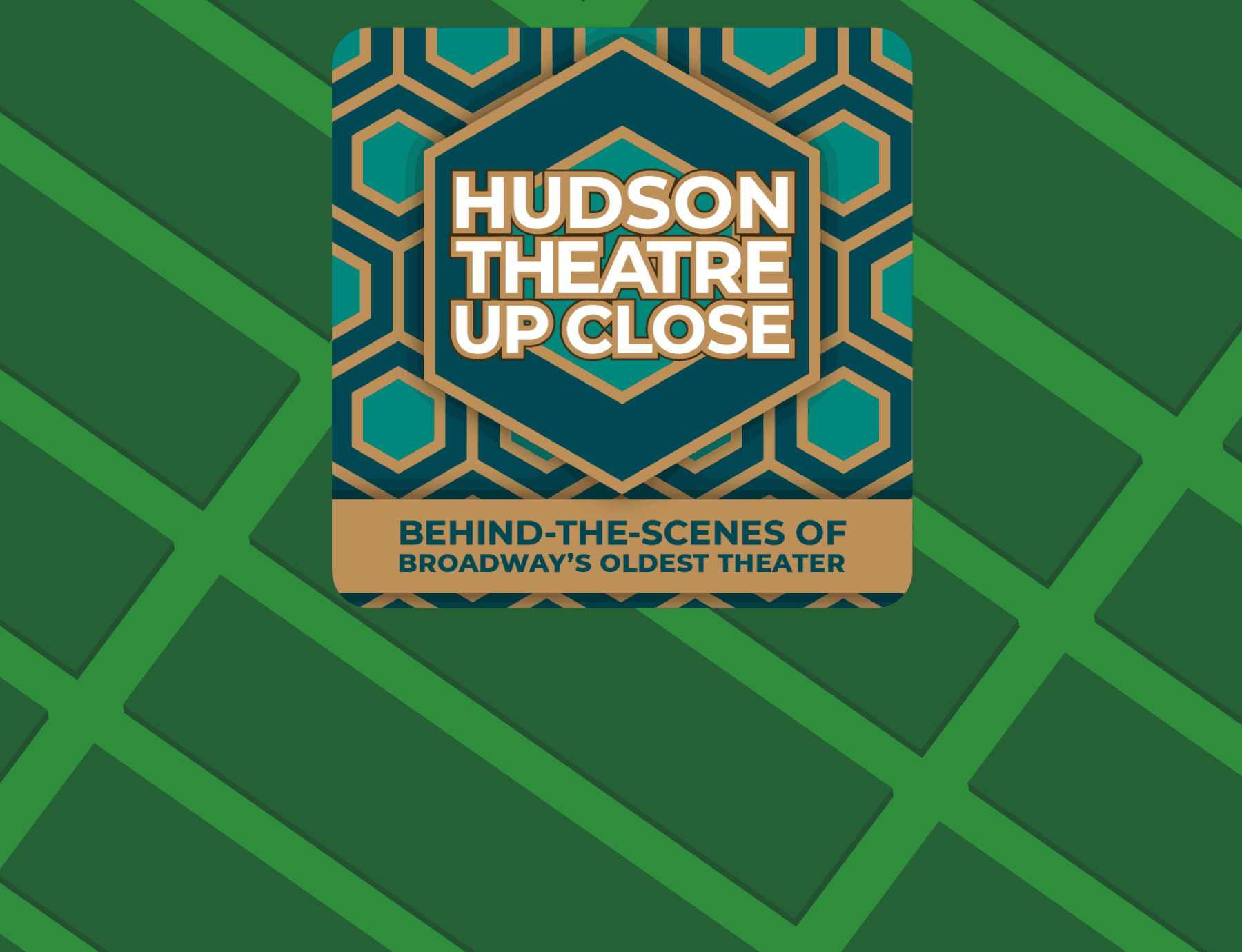 Theater Tours at Hudson Theatre: Broadway History in NYC