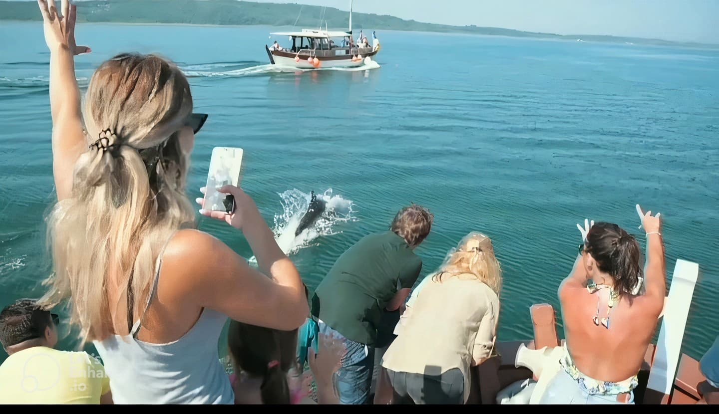 Tourists on boat watching dolphins in Amvrakikos Gulf cruise