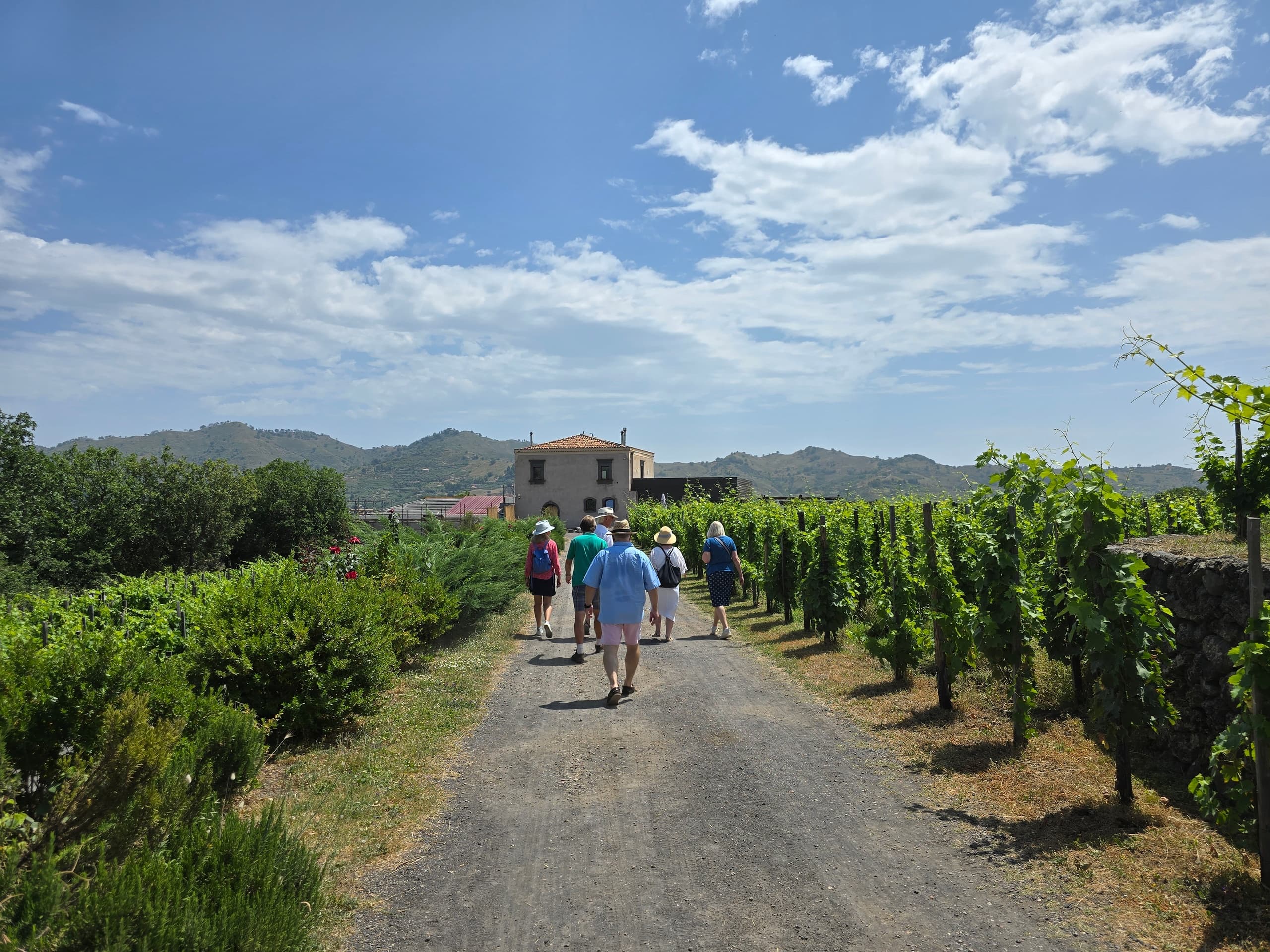 Mt Etna Two-Winery Tasting Tour from Taormina