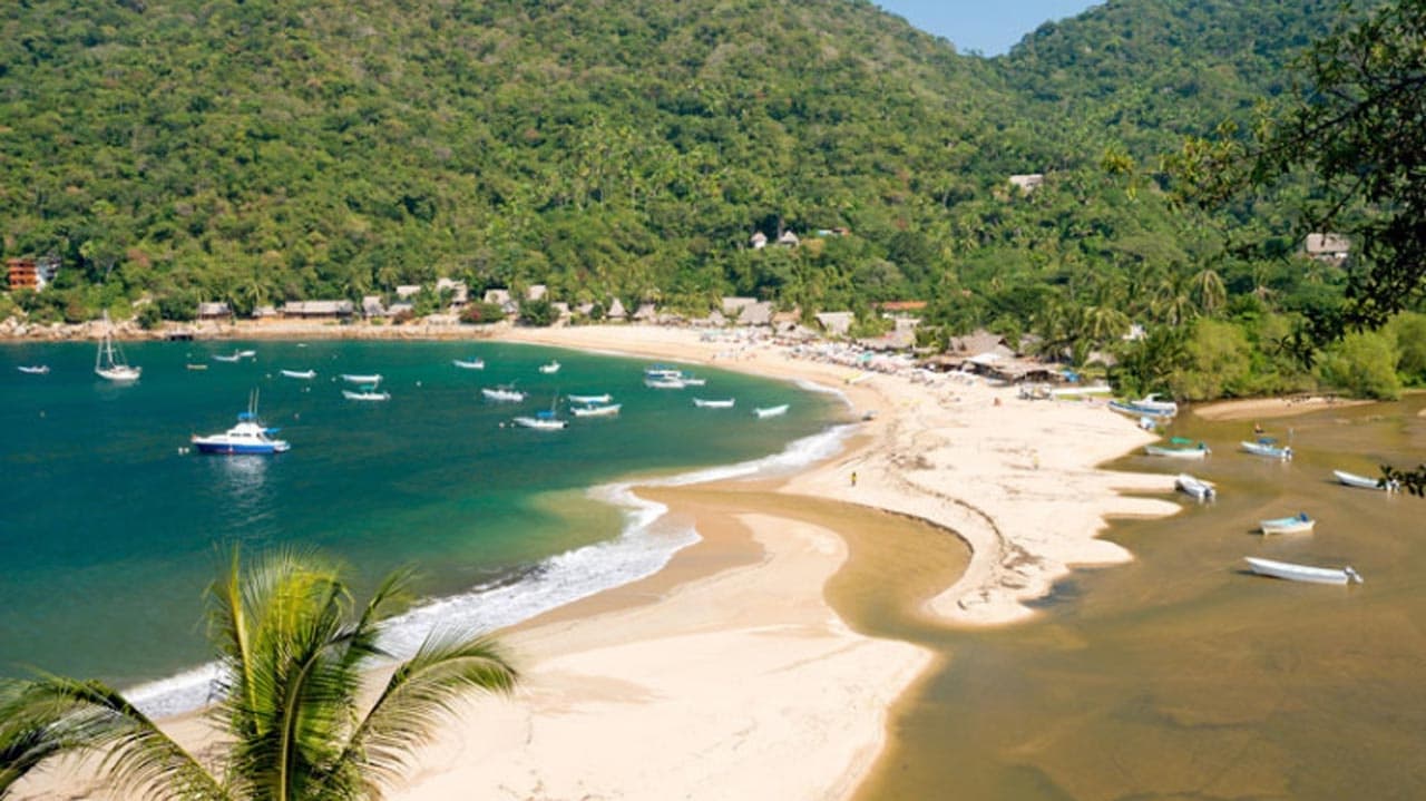 Discover Yelapa Adventure with Puerto Vallarta Net