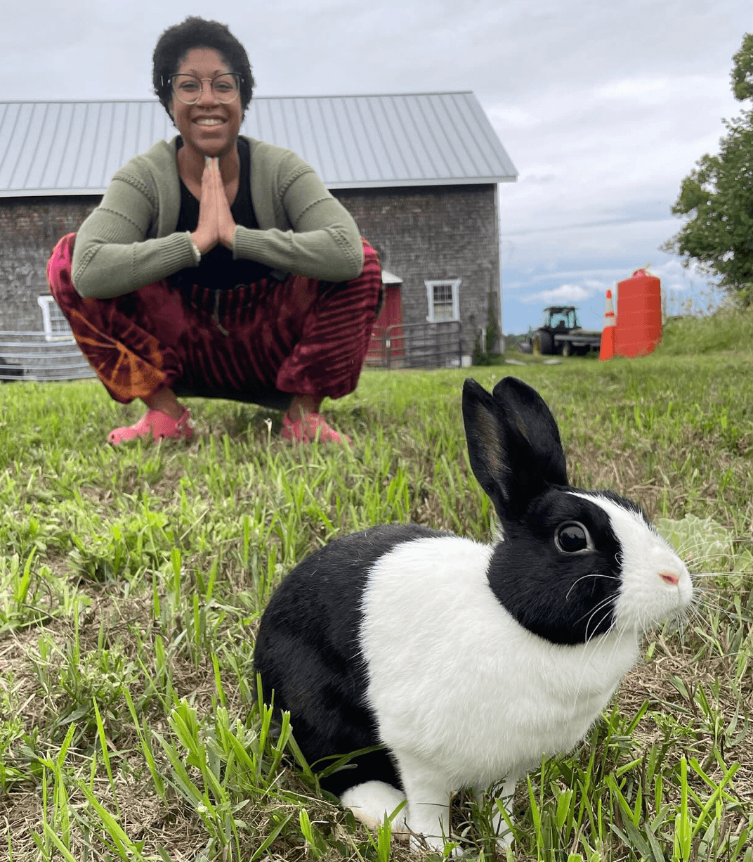 Black-and-white rabbit in grassy farmyard beside barn with person