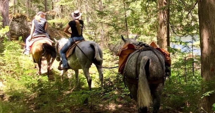 Land Adventure at Von Doeler's Ranch: An Unforgettable Experience