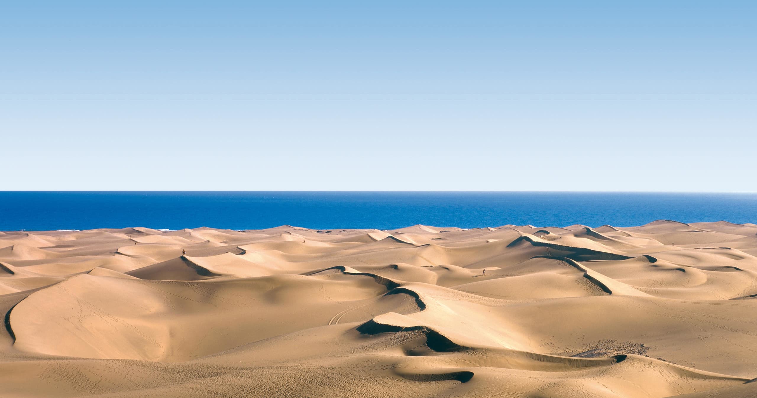 Gran Canaria Adventures with Trip Gran Canaria