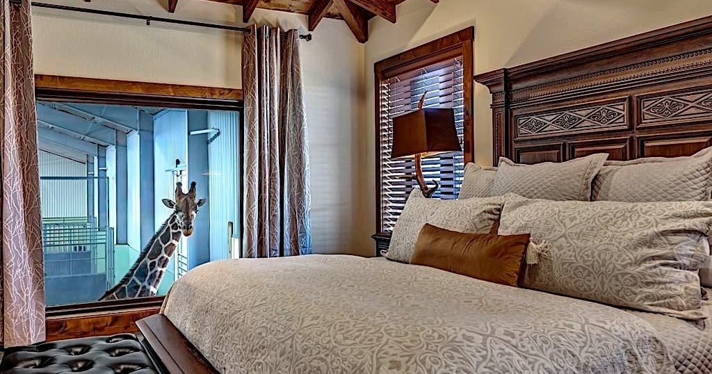 Stay Inside a Giraffe Barn: The Unforgettable Giraffe Suite Experience in Fredericksburg, Texas