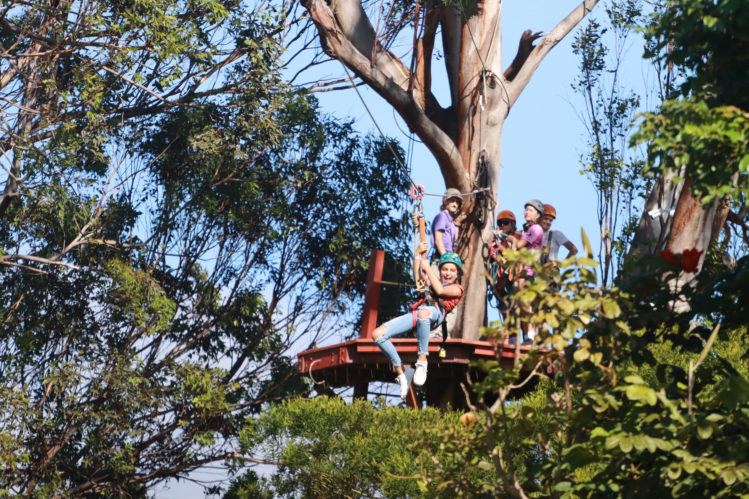 Maui North Shore Zipline Tour by Valley Isle Excursions