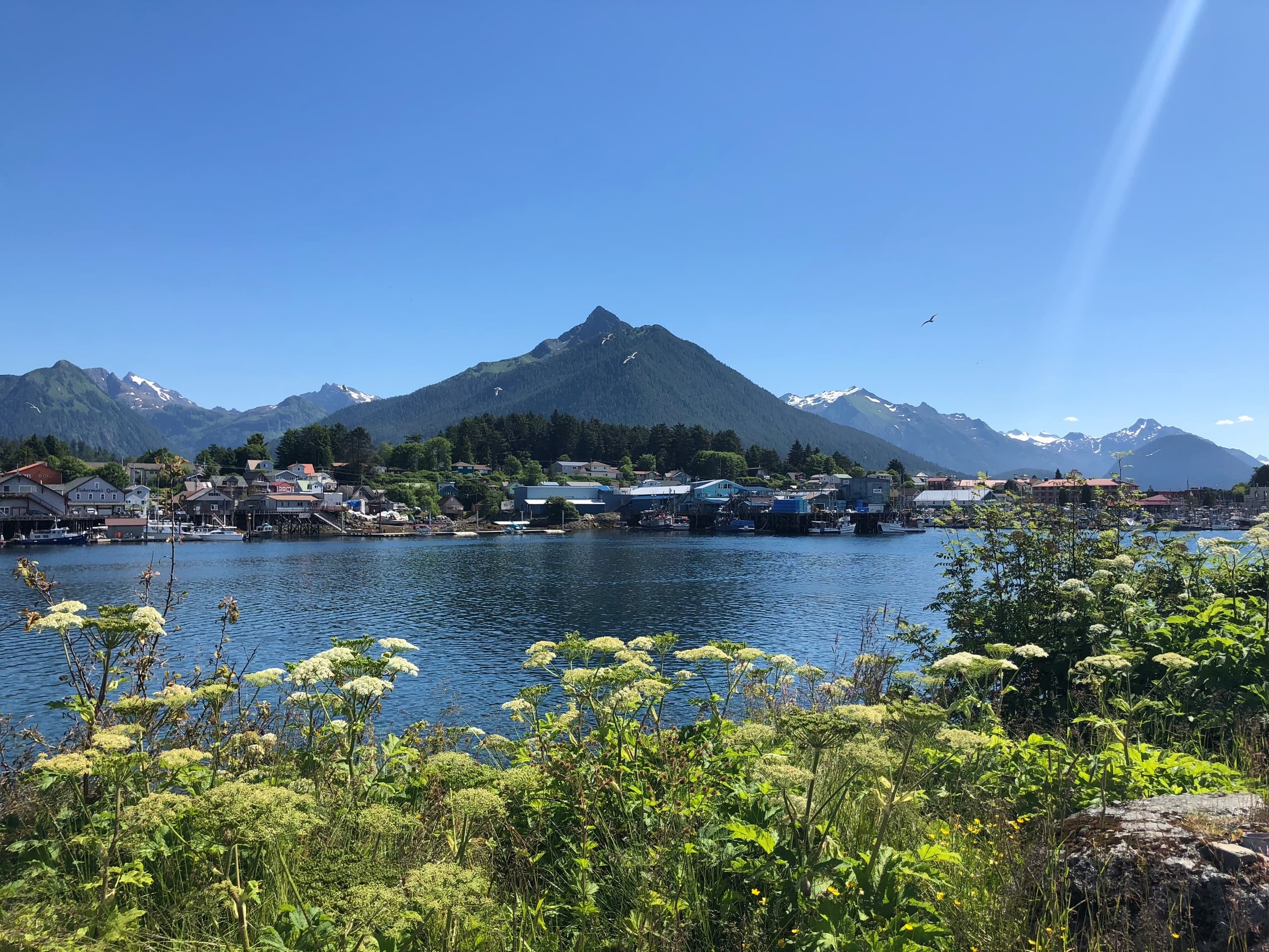 Sitka Shoreline Walks: Tongass Rainforest, Beaches & Totem Park