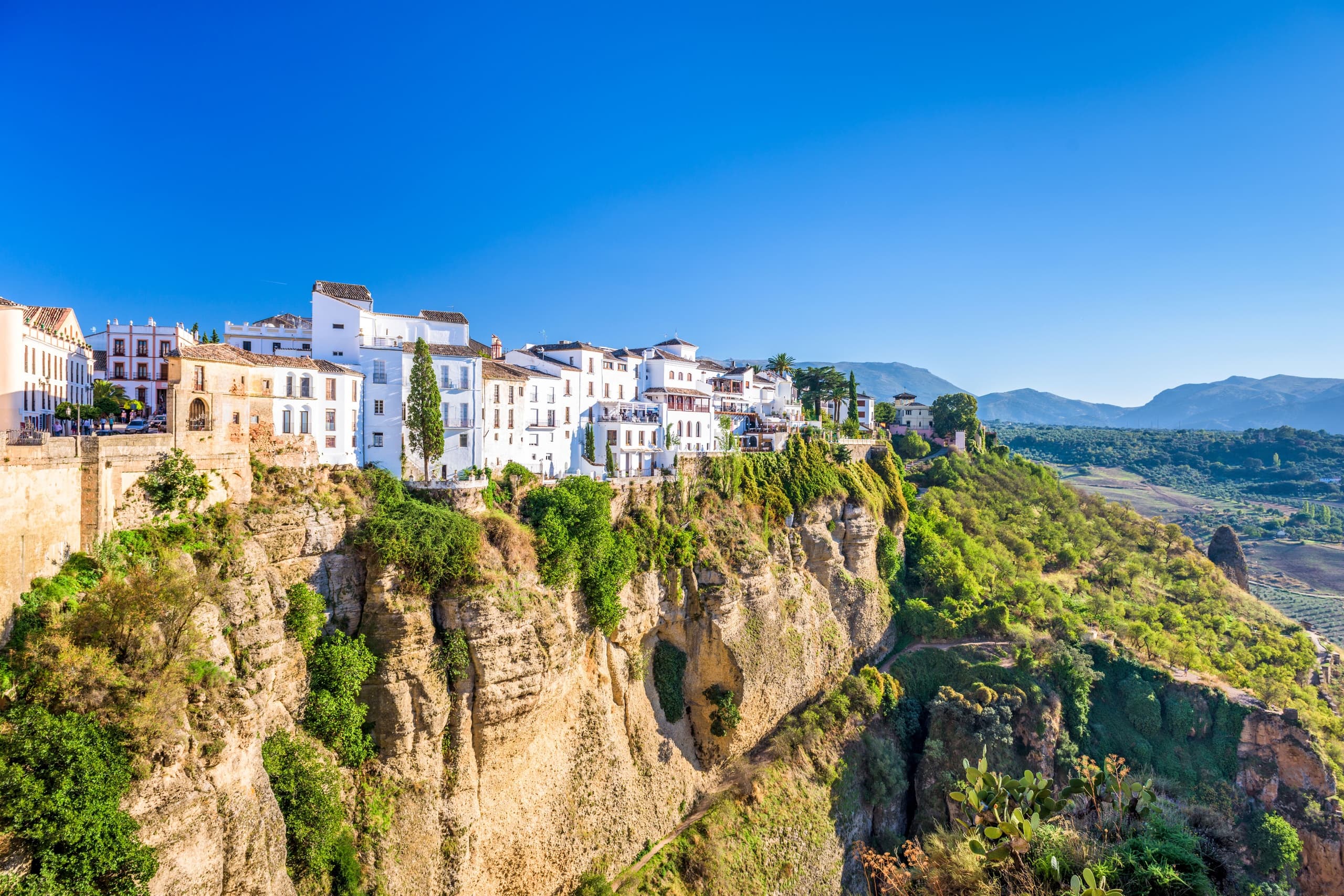 Private Ronda Wine & Culture Day Trip by Cadiz Tuk Tuk