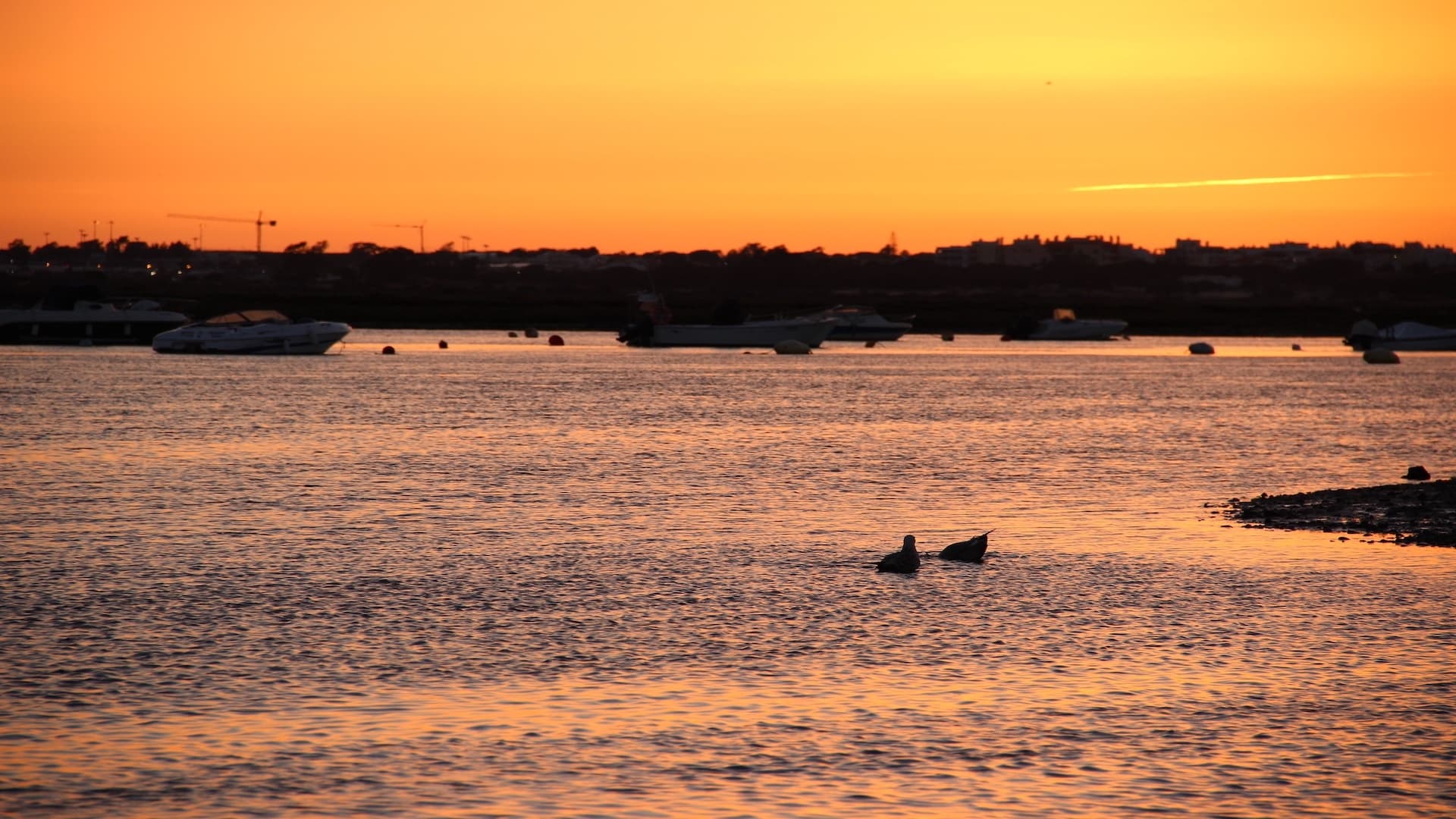 Sunset Boat Trips on the Ria Formosa: Faro’s One-Hour Lagoon Cruise photo 1