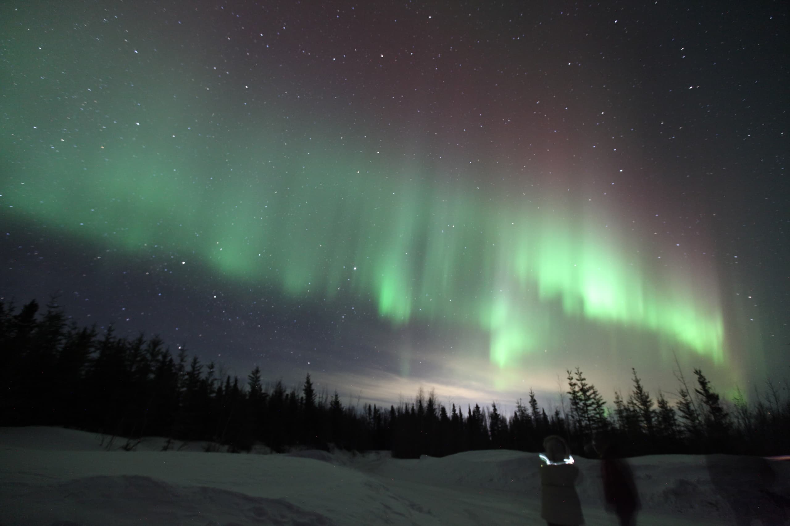 Aurora Husky Lodge fleet