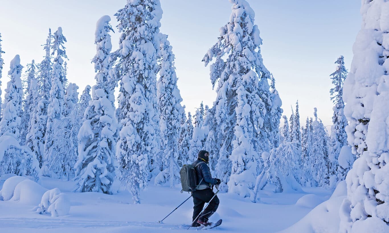 Snowshoe Tours with Kelo Resort in Lapland